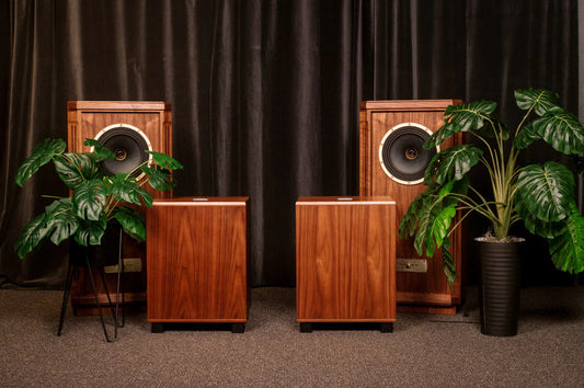 A Symphony of Mid-Century Charm