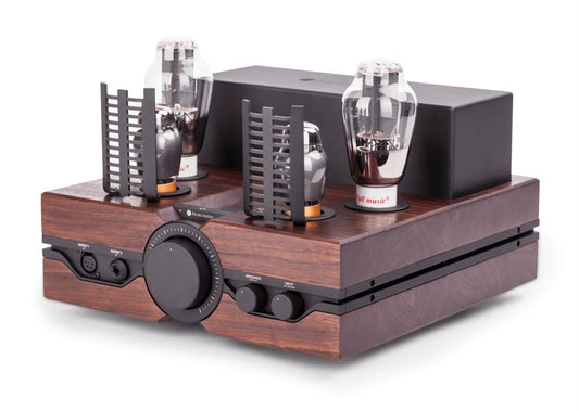 A Ph.D. in Neuroscience Loved This Amp