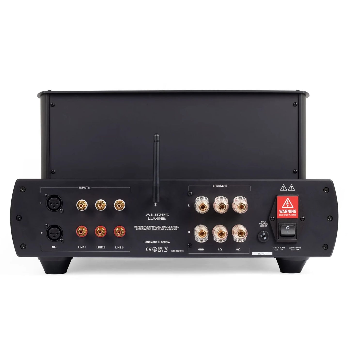 Auris Luminis Integrated Amplifier - Rear view w/ connector ports