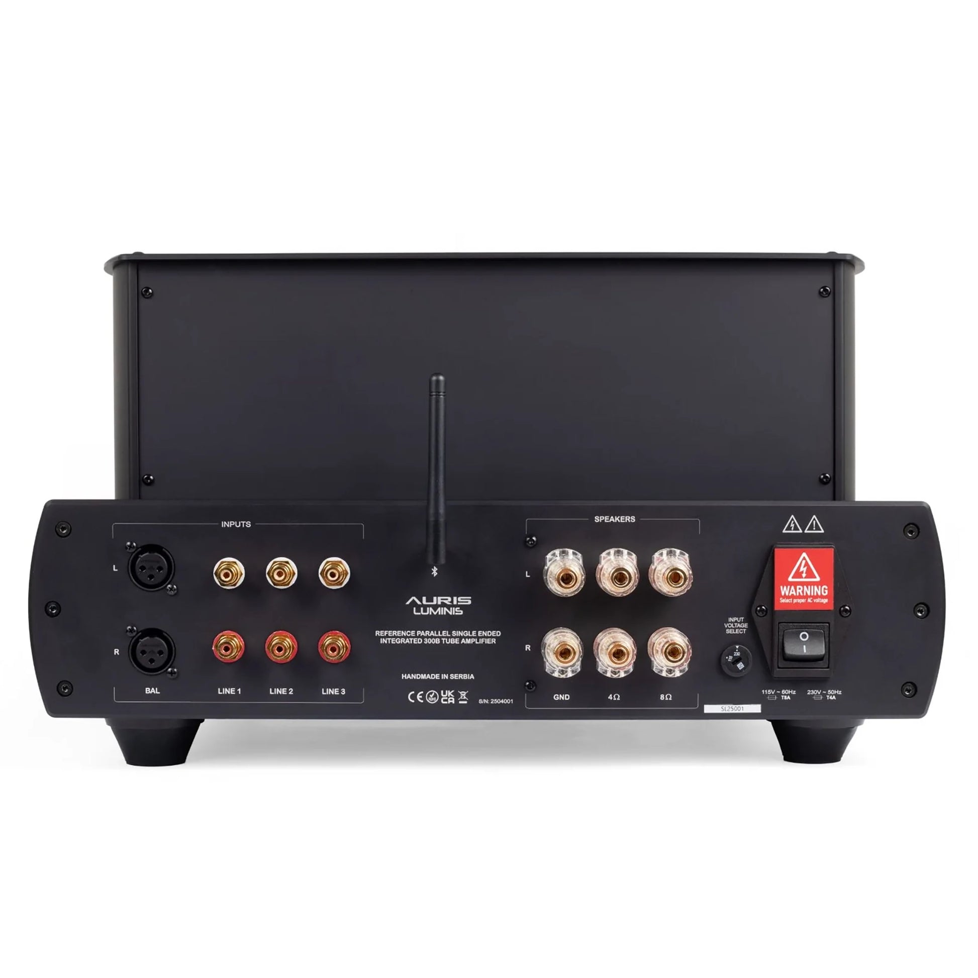 Auris Luminis Integrated Amplifier - Rear view w/ connector ports