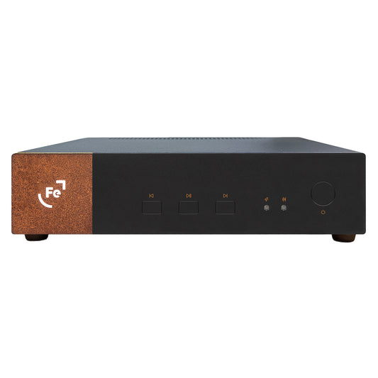 Ferrum BROEN Network Streaming Transport