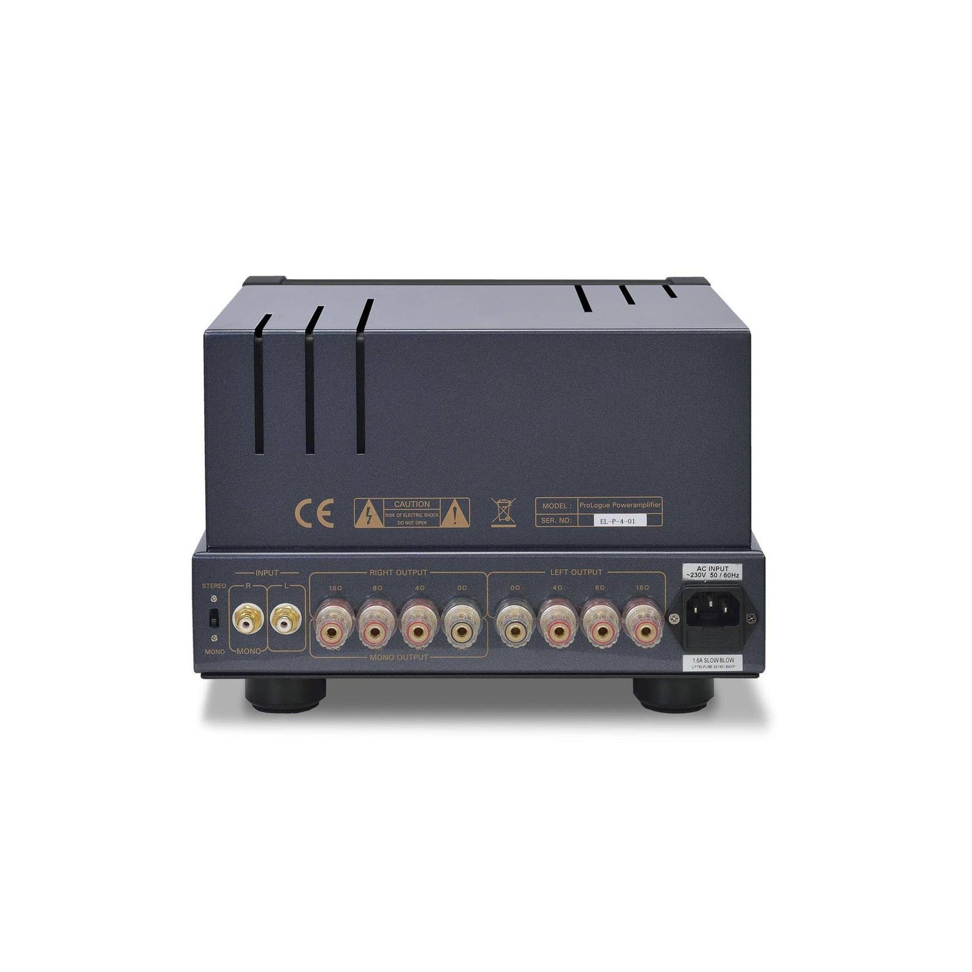 PrimaLuna EVO 100 Tube Poweramp