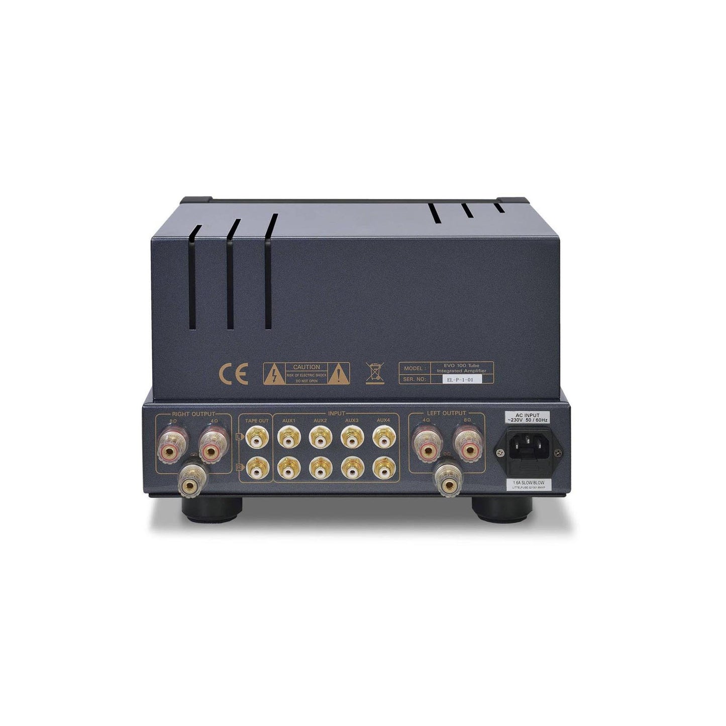 PrimaLuna EVO 100 Tube Integrated Amp