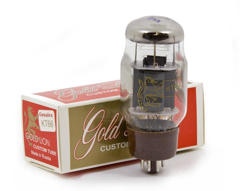 Gold Lion KT66